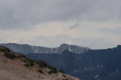 DSC_3061 (Large).JPG